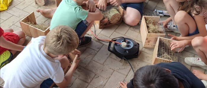 484752753_2691384231056180_636622763546604412_n