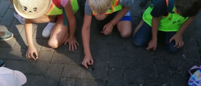 486151177_2697470287114241_2590610423116040985_n