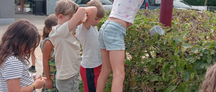 486608094_1070622165108413_3117426468418494684_n