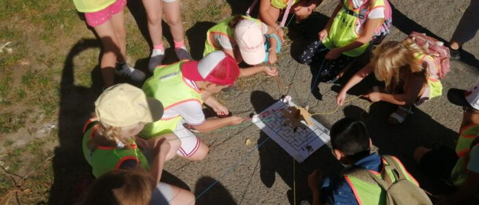 486630568_2697470390447564_3083784674591718245_n